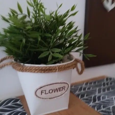 Deluxe Marina Cape 4 Stars 33 5 *